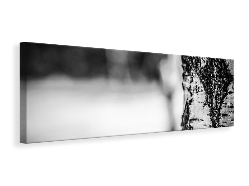 Panoramic Canvas Print Birch trunk