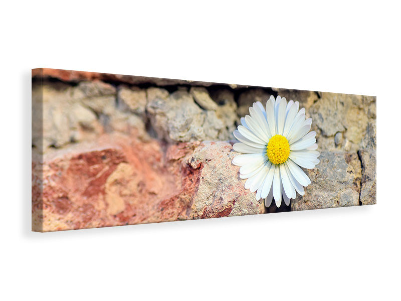 Panoramic Canvas Print Flower in the wall