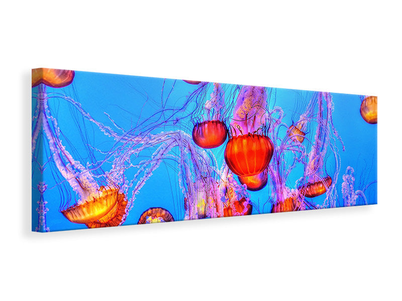 Panoramic Canvas Print Colorful jellyfish