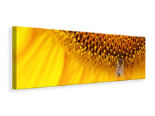 Load image into Gallery viewer, Panoramic Canvas Print Close up yellow bud
