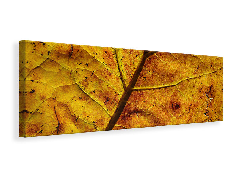 Panoramic Canvas Print The autumn leaf