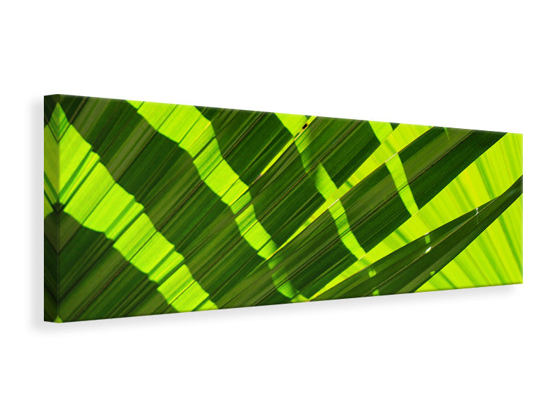 Panoramic Canvas Print The palm leaf in XL