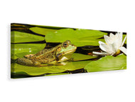 Panoramic Canvas Print The frog and the water lily