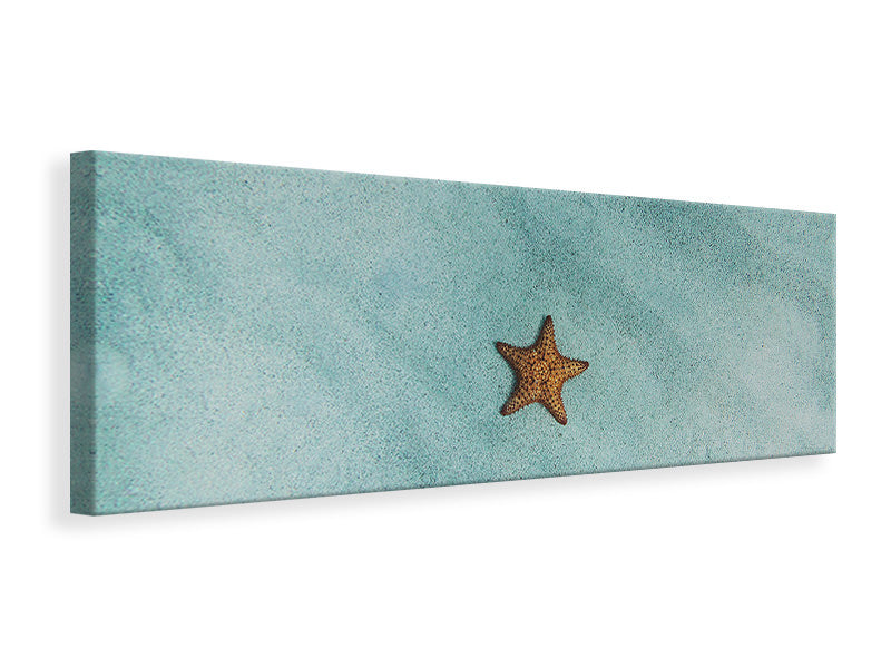 Panoramic Canvas Print The little starfish