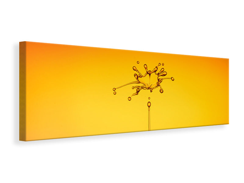 Panoramic Canvas Print The jumping drop