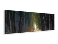Panoramic Canvas Print The tree avenue