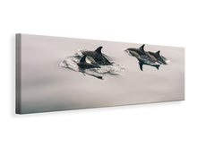 Load image into Gallery viewer, Panoramic Canvas Print The dolphins
