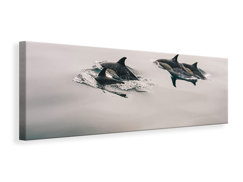 Panoramic Canvas Print The dolphins