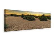 Panoramic Canvas Print The drought