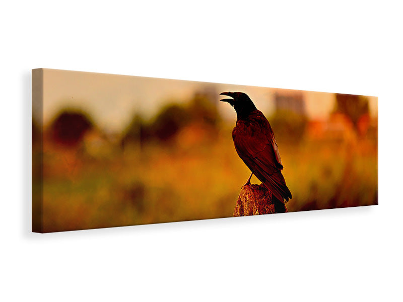 Panoramic Canvas Print The crow in the evening light
