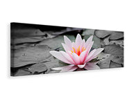 Panoramic Canvas Print The art of water lily