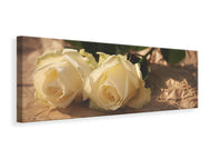 Panoramic Canvas Print The purity of the roses