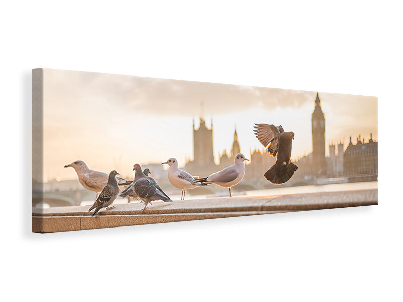 Panoramic Canvas Print The pigeons on the roof