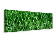 Panoramic Canvas Print The meadow in XL