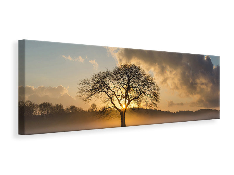 Panoramic Canvas Print A lonely tree
