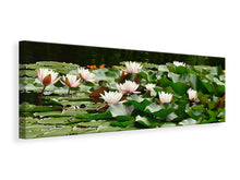 Load image into Gallery viewer, Panoramic Canvas Print A field full of water lilies
