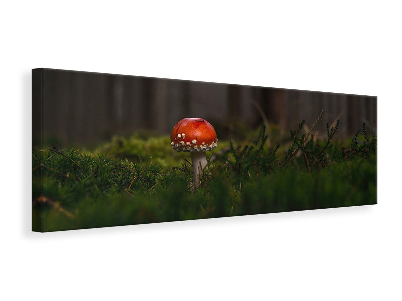 Panoramic Canvas Print A mushroom in the forest