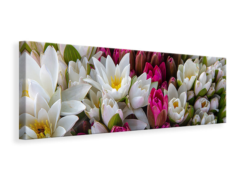 Panoramic Canvas Print A bouquet of water lilies