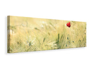Panoramic Canvas Print A poppy