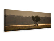 Panoramic Canvas Print Elephant alone in the steppe