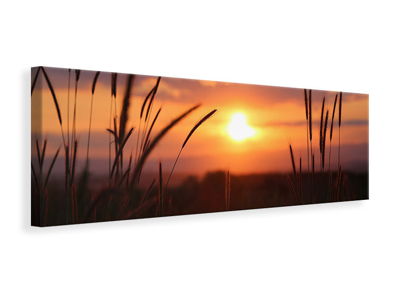 Panoramic Canvas Print Adorable sunset