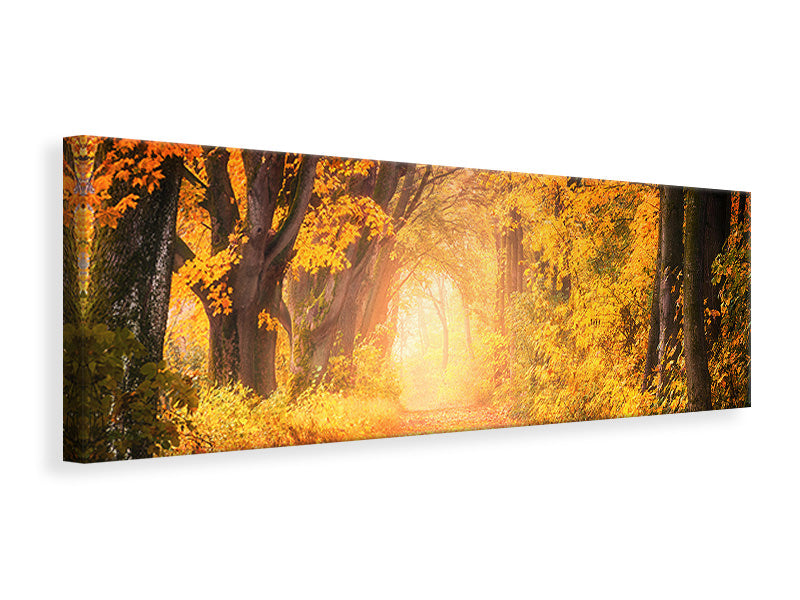 Panoramic Canvas Print Colors magnificent forest