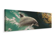 Panoramic Canvas Print Fascination dolphin
