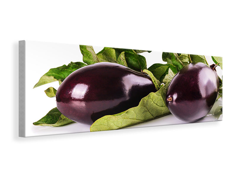 Panoramic Canvas Print Fresh eggplants