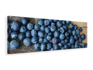 Panoramic Canvas Print Fresh blueberries
