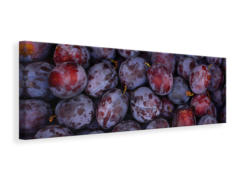 Panoramic Canvas Print Fresh plums