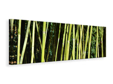 Load image into Gallery viewer, Panoramic Canvas Print Fresh bamboo
