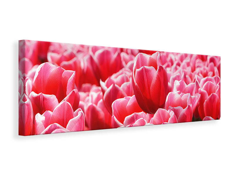 Panoramic Canvas Print Happy tulip field