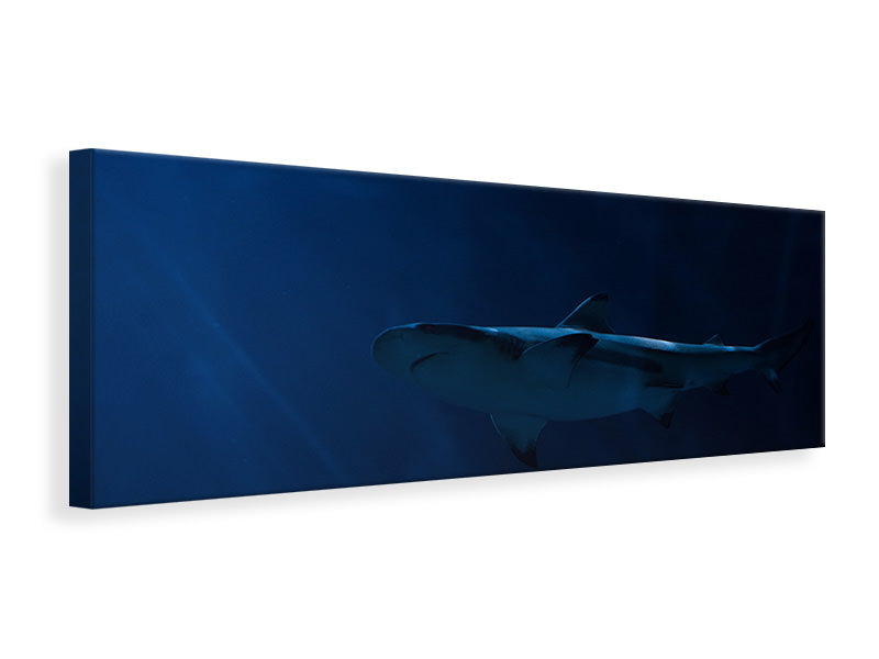 Panoramic Canvas Print Dangerous shark