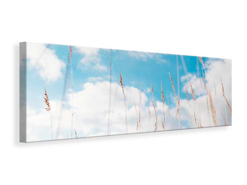 Panoramic Canvas Print Blades of grass in the sky