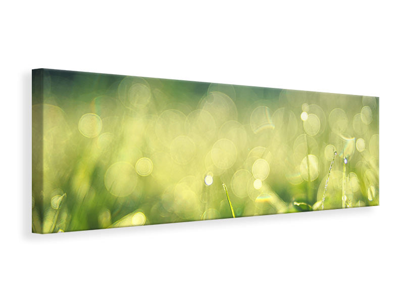 Panoramic Canvas Print In the meadow
