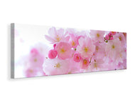 Panoramic Canvas Print Japanese cherry blossom XL