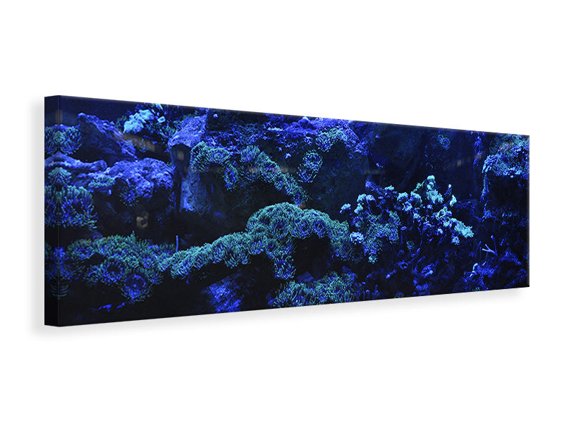 Panoramic Canvas Print Coral reef in blue