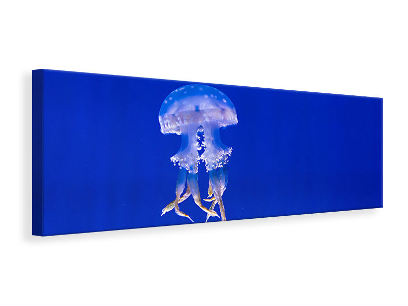 Panoramic Canvas Print Glowing jellyfish