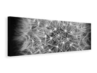 Panoramic Canvas Print Dandelion in XXL