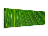 Panoramic Canvas Print Palm stripe 1