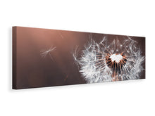 Load image into Gallery viewer, Panoramic Canvas Print Dandelion in the evening light
