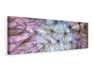 Panoramic Canvas Print Dandelion in the light play