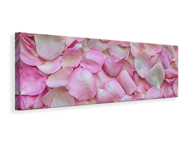 Panoramic Canvas Print Rose petals in pink 2