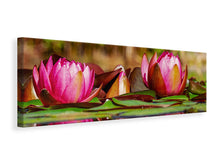 Load image into Gallery viewer, Panoramic Canvas Print Red water lily trio

