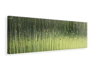 Panoramic Canvas Print Satined glass