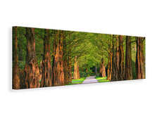 Load image into Gallery viewer, Panoramic Canvas Print Beautiful avenue in nature
