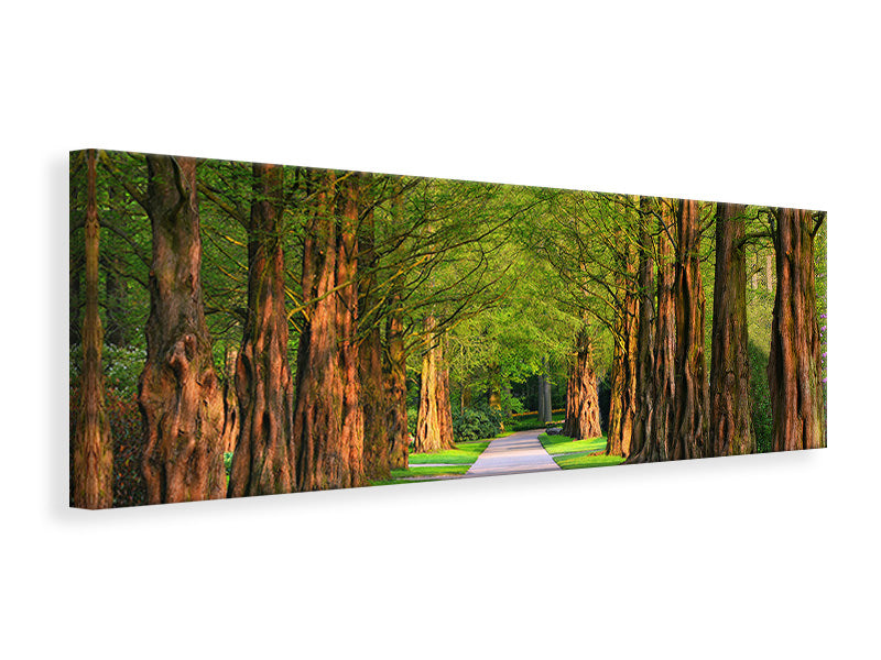Panoramic Canvas Print Beautiful avenue in nature