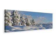 Panoramic Canvas Print Beautiful snow landscape