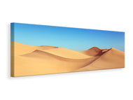 Panoramic Canvas Print Beauty desert