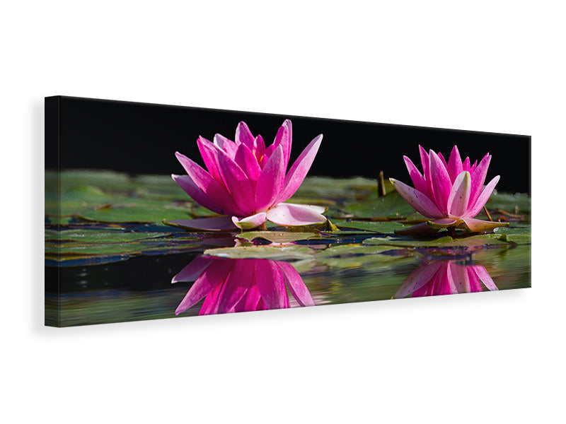 Panoramic Canvas Print Water Lilies Duo in pink